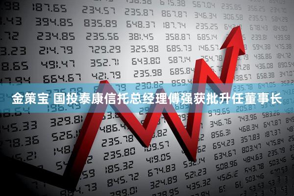 金策宝 国投泰康信托总经理傅强获批升任董事长