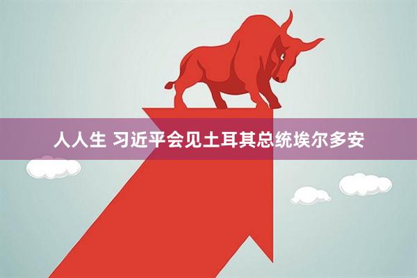 人人生 习近平会见土耳其总统埃尔多安