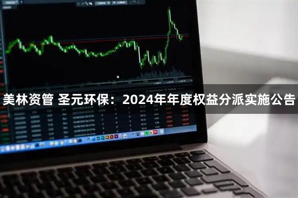 美林资管 圣元环保：2024年年度权益分派实施公告