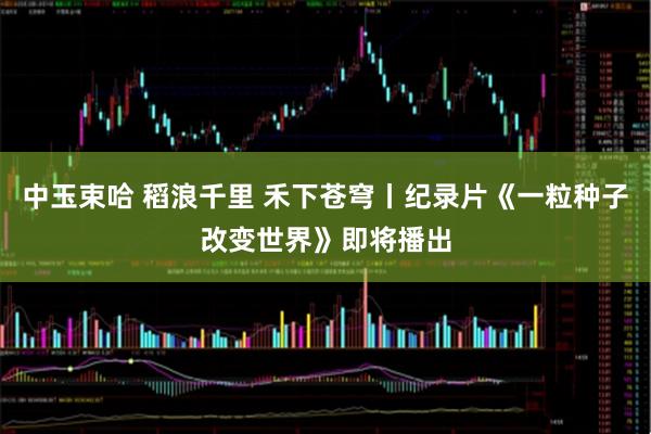 中玉束哈 稻浪千里 禾下苍穹丨纪录片《一粒种子改变世界》即将播出