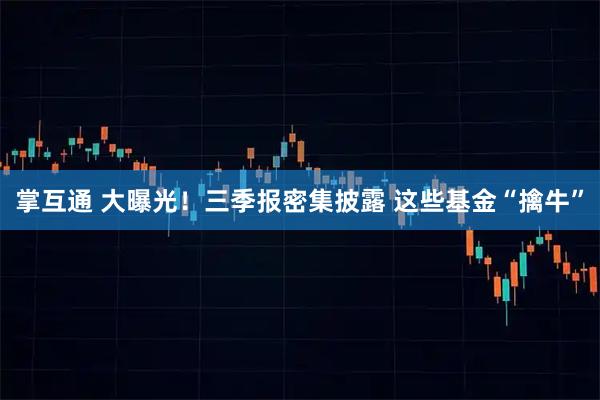 掌互通 大曝光！三季报密集披露 这些基金“擒牛”