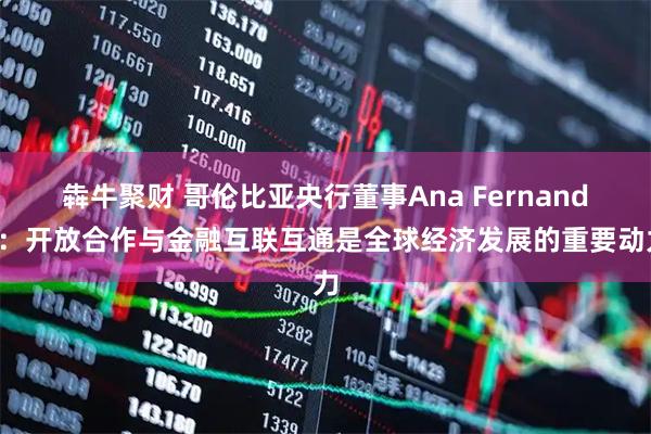 犇牛聚财 哥伦比亚央行董事Ana Fernanda：开放合作与金融互联互通是全球经济发展的重要动力